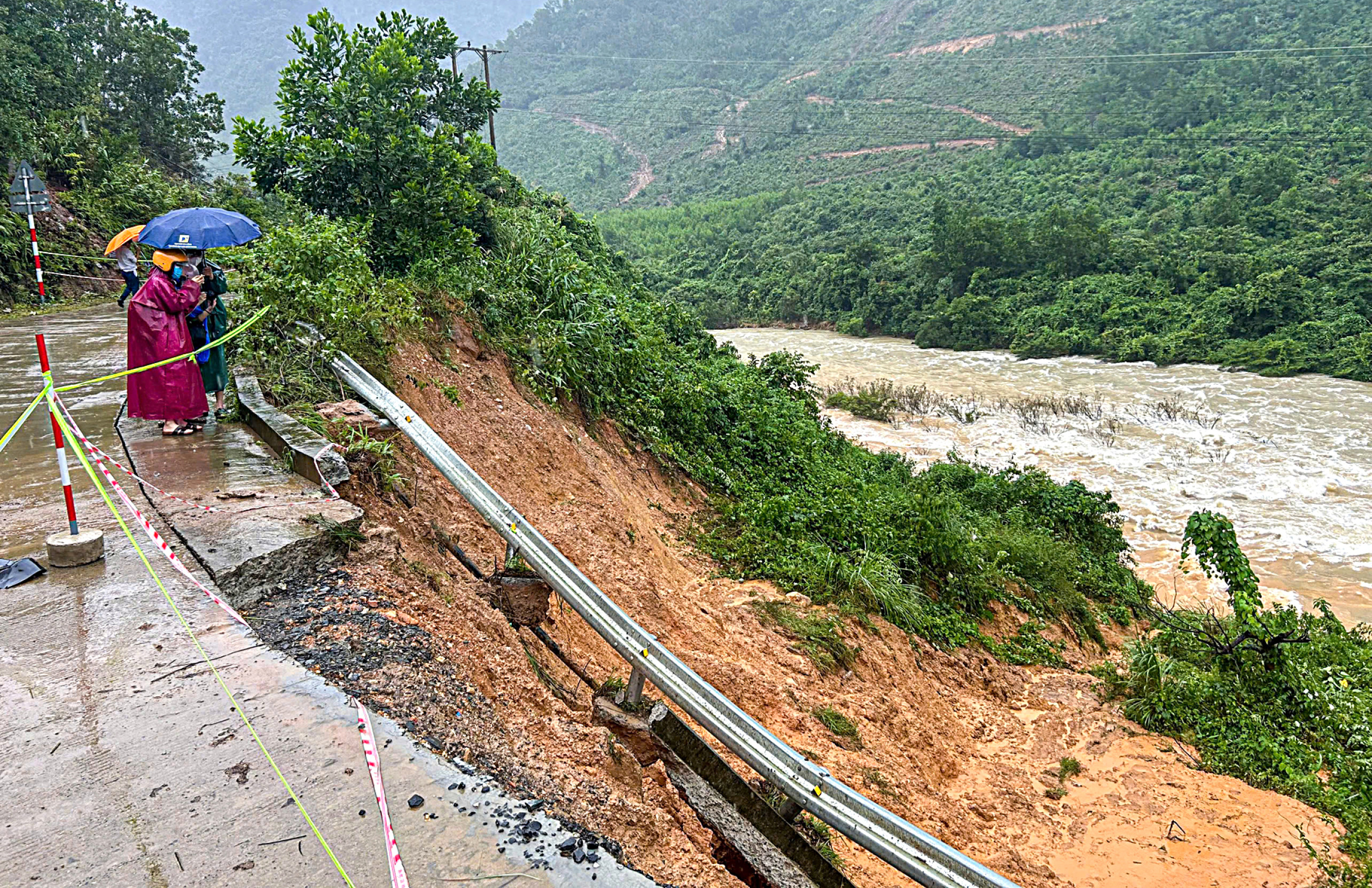 为避免创纪录的山体滑坡和洪水:必须保护森林!